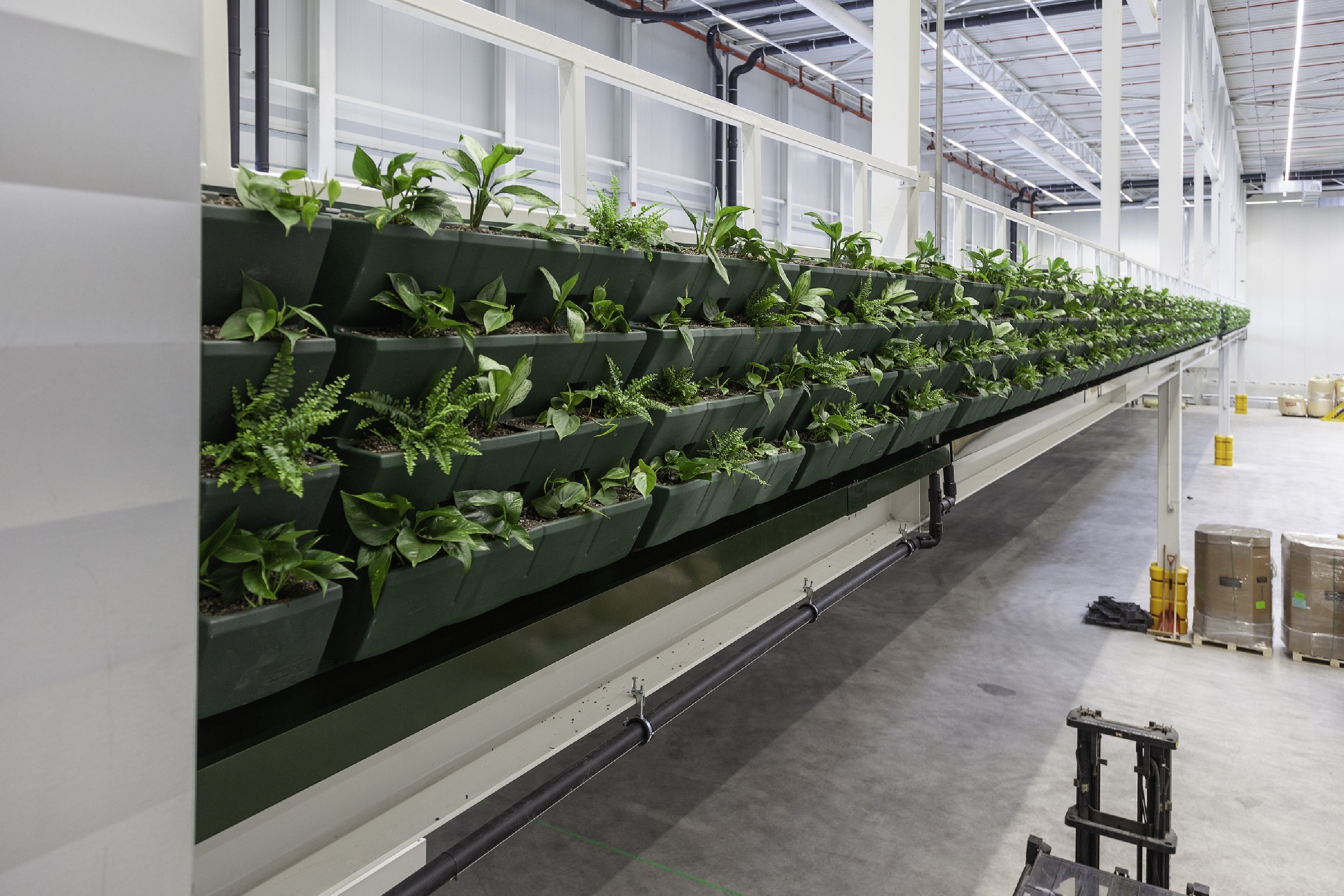 Plants at the WELL Building Standard pilot warehouse