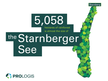 Cool Earth Starnberger See