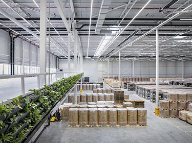 Natural light flooding interior of distribution center in Tilburg, Netherlands.jpg Natural light flooding interior of distribution center in Tilburg, Netherlands